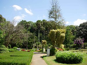 Peradeniya Botanical garden