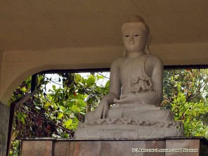 Gautama Buddha Statue