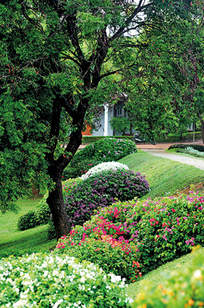Peradeniya Botanical garden