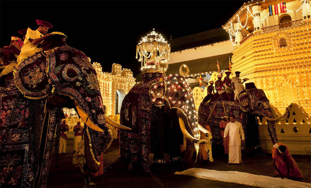 Elephants of Dalada Perahera